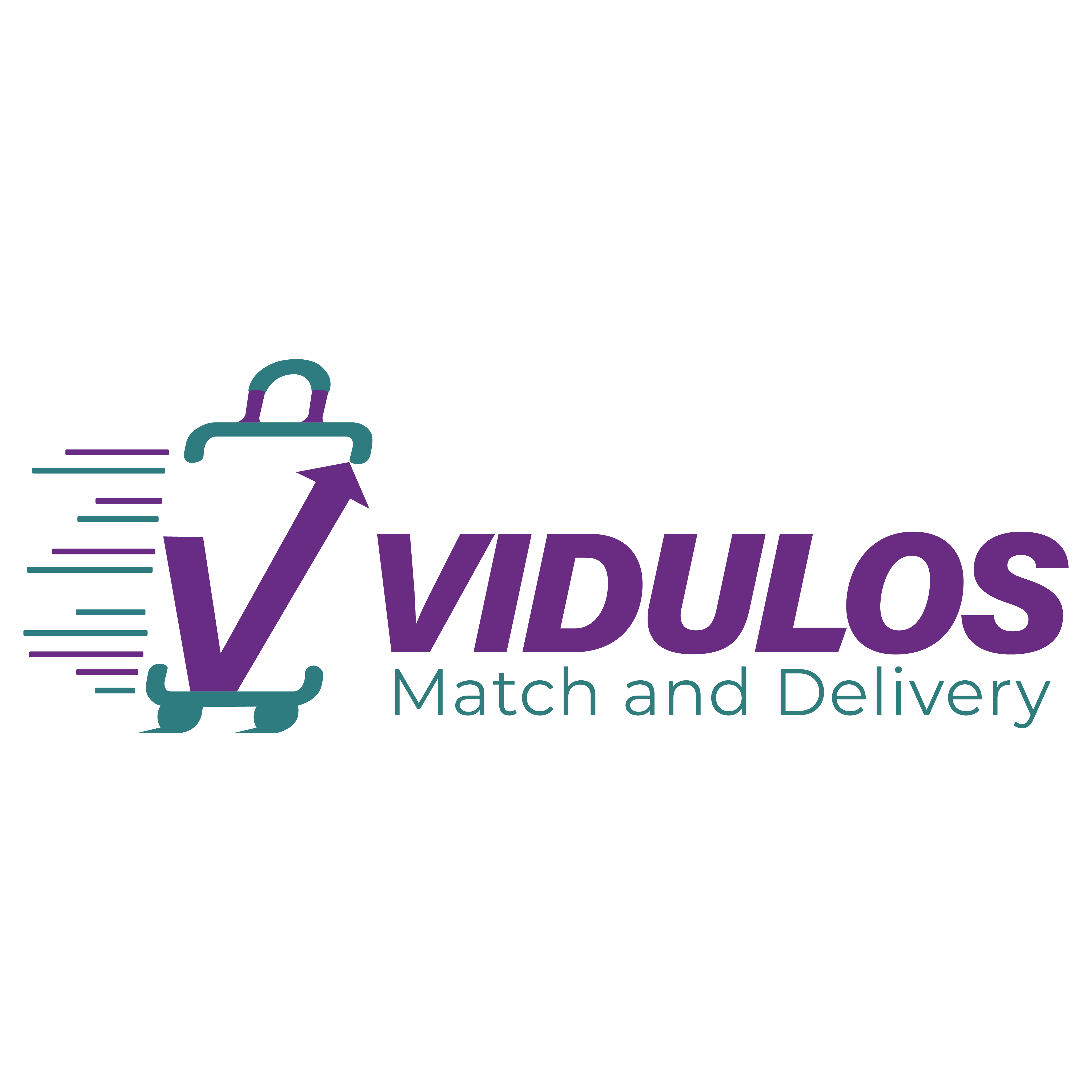VIDULOS LOGO